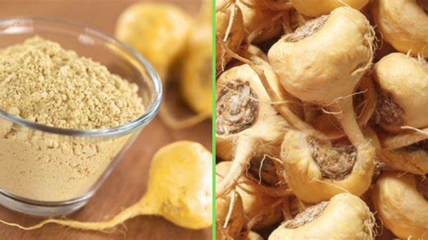 Maca Root! The New Go-To Supplement For Fitness Enthusiasts